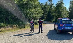 Sinop’ta ormanlık alanda ateş yakanlara ceza yağdı