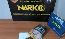 Ordu’da uyuşturucu operasyonlarında 2 tutuklama