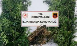 Ordu’da jandarma ekiplerinden denetimler: 31 şüpheli yakalandı