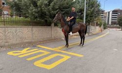 Tokat’ta direksiyon sınavı heyecanını yenmek için motosiklet yerine atla parkura girdi