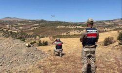 Kilis’te kaybolan küçükbaş hayvanlar bulundu