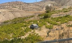Malatya’da kontrolden çıkan araç üzüm bağına uçtu: 2 yaralı