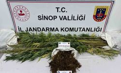 Sinop’ta 425 gram kubar esrar ve 56 kök kenevir bitkisi ele geçirildi