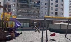 Parkta oynayan çocukları yerden yere vurdu