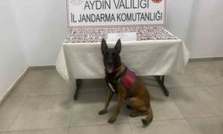 Aydın’da jandarmadan uyuşturucu operasyonu: 3 gözaltı
