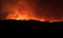 Karabük’teki orman yangınında 7 saat geride kaldı