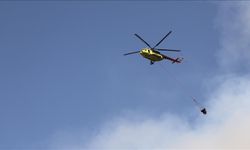Denizli'nin Pamukkale ilçesindeki orman yangını büyük ölçüde kontrol altına alındı