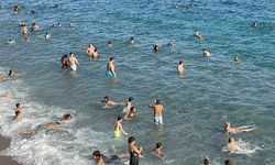 Bodrum’da adım atacak yer kalmadı, nüfus 800 bine ulaştı
