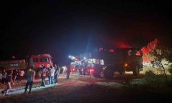 Geyve’de çıkan yangında 5 dönüm alan zarar gördü