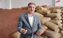 Fındık rekoltesinin bu yıl 453 bin ton olması bekleniyor