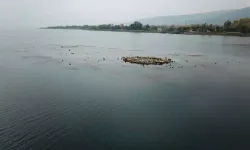 Su miktarı "kritik" seviyenin altına düşen Sapanca Gölü'ndeki kalıntılar ortaya çıktı