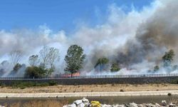 Ayvacık'ta çöplük alanda çıkan yangın ormana sıçradı