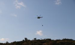 Tekirdağ'ın Şarköy ilçesinde çıkan orman yangını kontrol altına alındı