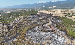 Tokat'ta söndürülen orman yangınının izleri dronla görüntülendi
