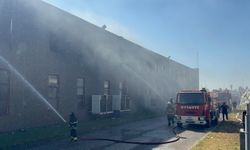 Tekirdağ'da tarım arazisinden tül fabrikasına sıçrayan yangına müdahale ediliyor