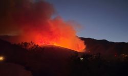 Hatay'da ormanlık alanda yangın çıktı