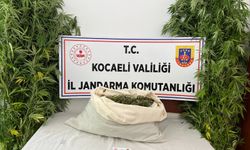 Kocaeli'de uyuşturucu operasyonunda yakalanan 2 zanlı tutuklandı