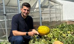 Ülkü Ocakları Genel Merkezi terasında hayata geçirilen sürdürülebilir tarım projesinin ilk ürünlerini hasat edildi