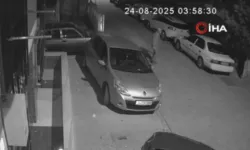 Sokak sokak gezdi, park halindeki araçlara zarar verdi