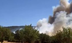 Bolu’da orman yangını başladı