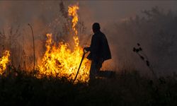Bulgaristan'ın güneyinde 30 bin dönümlük alana yayılan yangınla mücadele sürüyor
