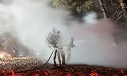 Çanakkale’deki Orman Yangınları Kontrol Altına Alındı