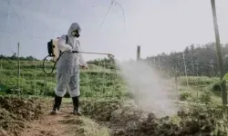 Fransa Anayasa Konseyi’nden “Duplomb Yasası”na Kısmi İptal
