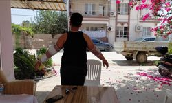 Hatay'da sahipsiz köpeğin saldırdığı çocuk yaralandı