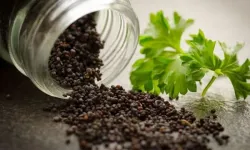 Hayıt Tohumu (Hayıt Otu) Nedir? Faydaları ve Kullanım Alanları