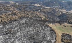 Çanakkale'de yangında zarar gören alanlar dronla görüntülendi