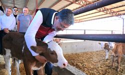 Bakan Yumaklı, “Güçlü Besi Güçlü Üretim Projesi”ni Polatlı’da Tanıttı