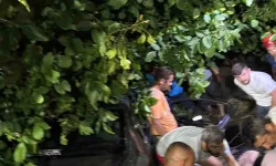 Kontrolden çıkan otomobil, ağaçlık alana girdi: 3 yaralı
