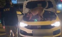 Kütahya'da 3,5 kilo kokain ele geçirildi, şüpheli 2 kişi tutuklandı