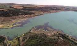 Tekirdağ'daki Yazır Göleti'nin su seviyesi kuraklığın etkisiyle yüzde 4'e düştü