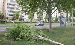 Meteorolojiden 4 il için kuvvetli rüzgar ve fırtına uyarısı