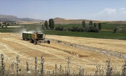 Ekili tarım arazisi yüzde 22 artan Kayseri'de üretici sayısı 32 bine ulaştı