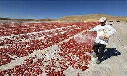 Misafirliğe geldikleri Elazığ'da 4 yılda 6 bin dönüm atıl araziyi tarıma kazandırdılar
