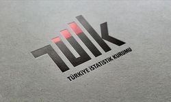 TÜİK "Dönemlik Nüfus İstatistikleri" bültenini yarın yayımlayacak