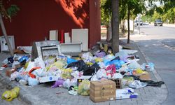 İzmir Karşıyaka'da çöplerin toplanmaması tepkilere neden oluyor