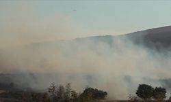 Balıkesir'in Susurluk ilçesinde çıkan orman yangınına müdahale ediliyor