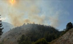 Karabük'te çıkan orman yangınına müdahale ediliyor