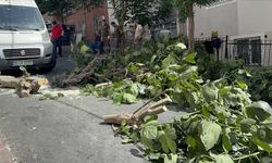 İstanbul'da etkisini sürdüren fırtına hayatı olumsuz etkiliyor