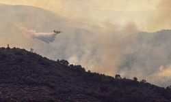 İspanya hafta sonuna Madrid ve Avila çevresindeki yangınlarla başladı
