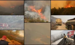 Yangınlardan Etkilenen Alanlarda Avlanmak Yasaklandı