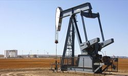 Hindistan'ın Rus petrolü almaya devam ettiği bildirildi