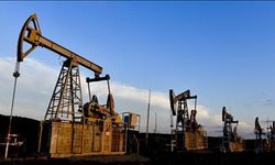 OPEC'in ham petrol üretimi temmuzda günlük 263 bin varil arttı