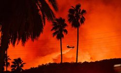 Artan orman yangınlarının çoğu insan kaynaklı