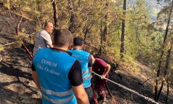 Çorum Ülkü Ocakları’ndan “Yeşil Vatan” Seferberliği
