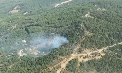 Muğla'da ormanlık alanda çıkan yangın kontrol altına alındı