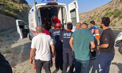 Hakkari’de trafik kazası: 1 yaralı